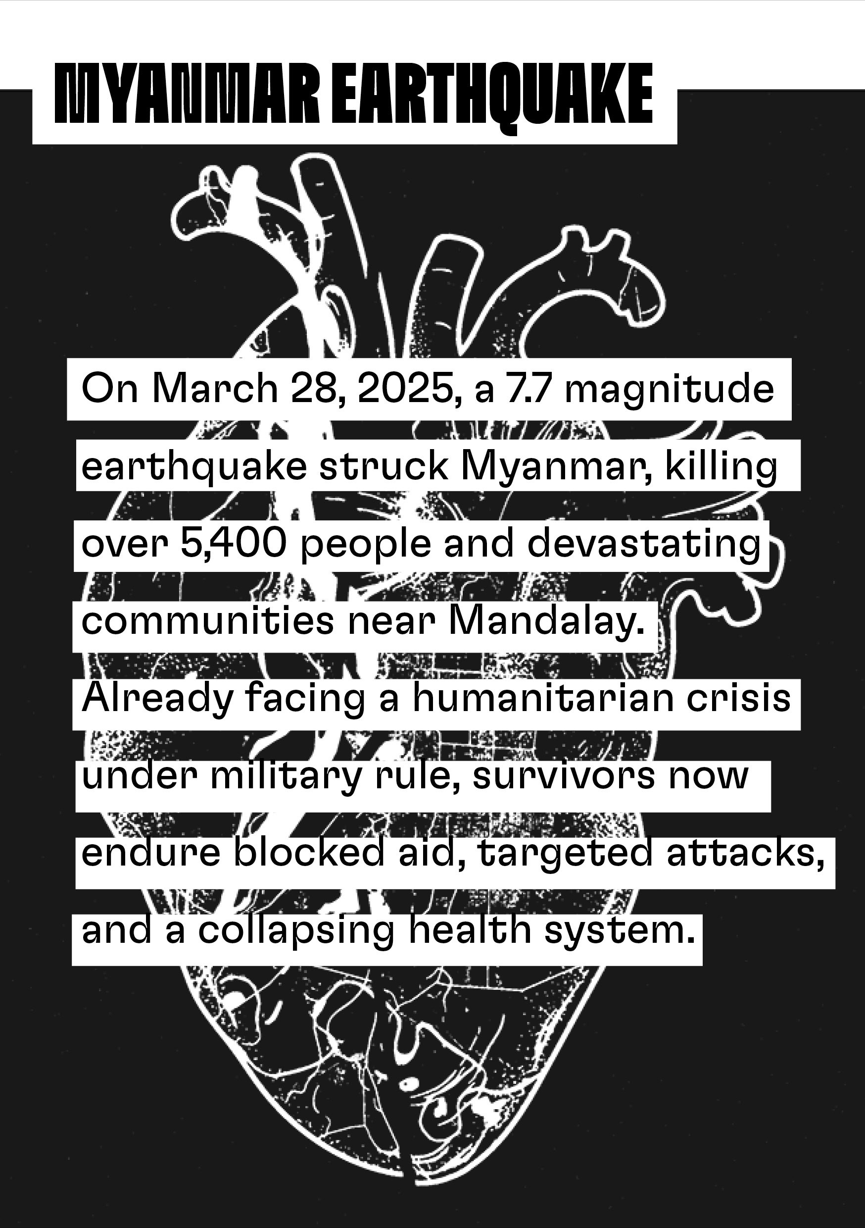 solidaritea digital re7